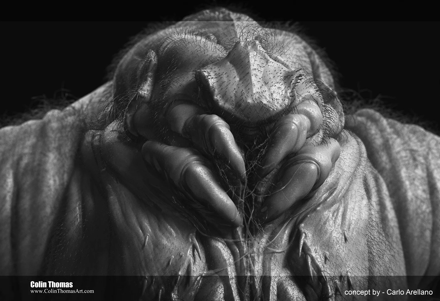 Creature_Comp_1.jpg