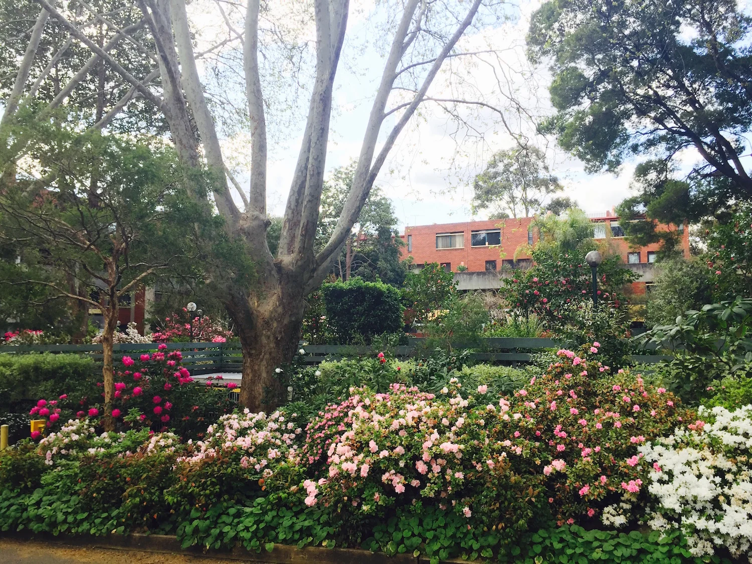 Newsletter - Spring 2015