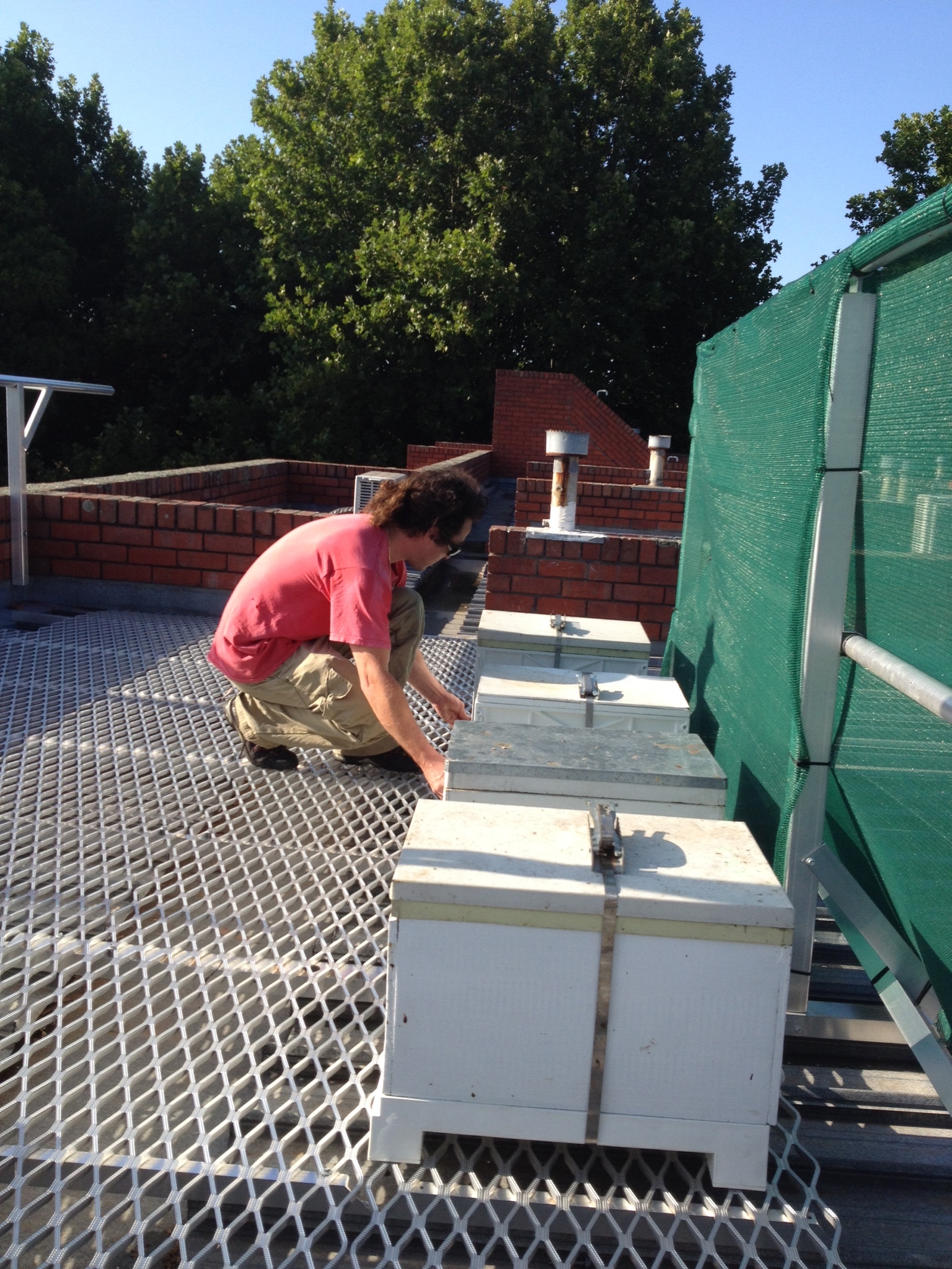 Bee hives installed by Melbourne Rooftop Honey