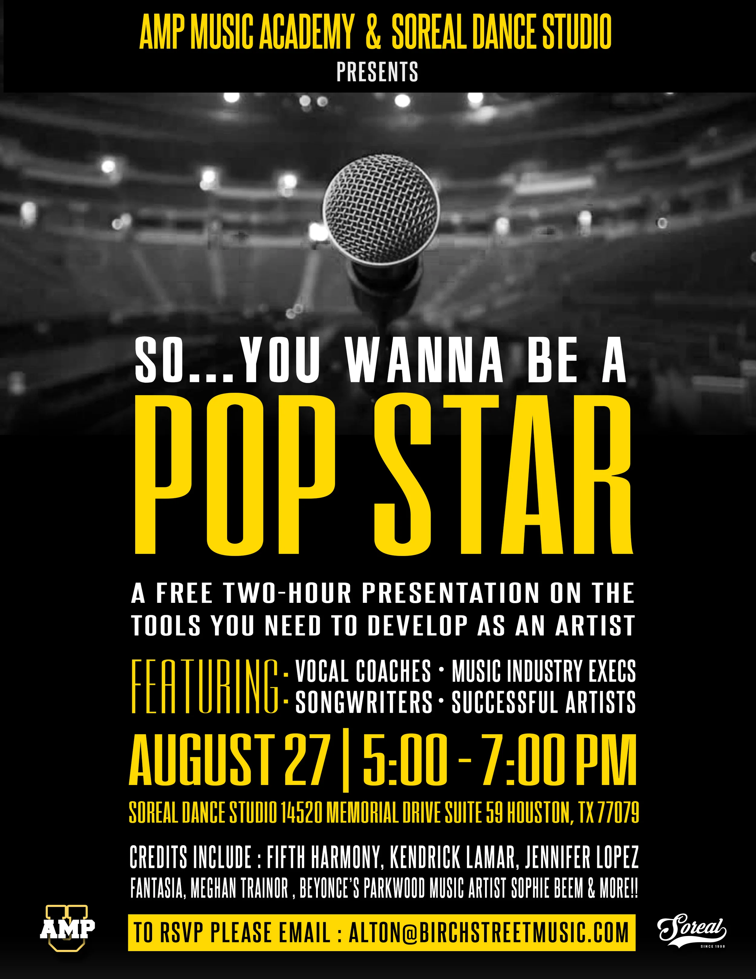 SO YOU WANNA BE A POP STAR?