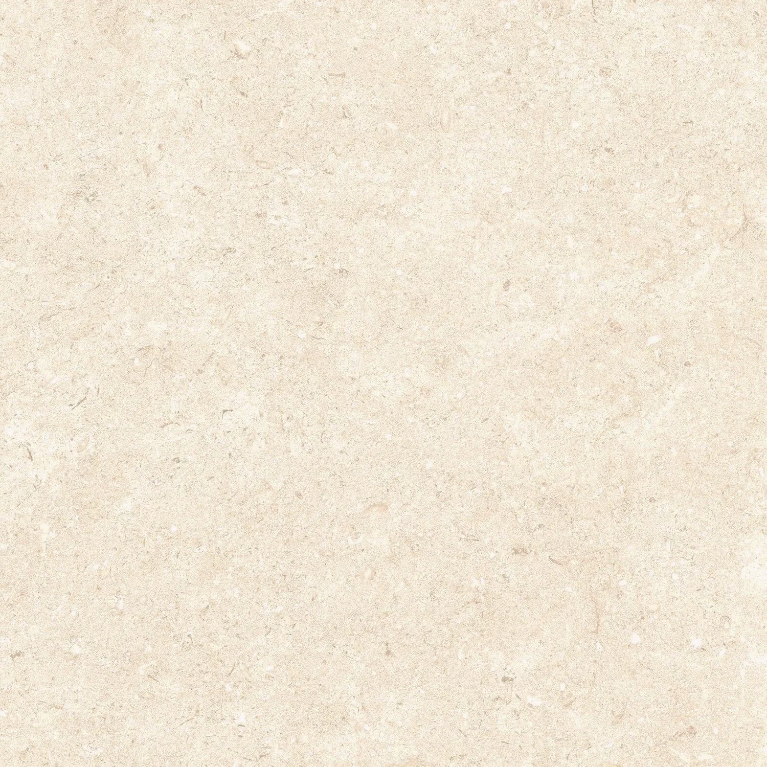 Limestone 2.0 Cotton