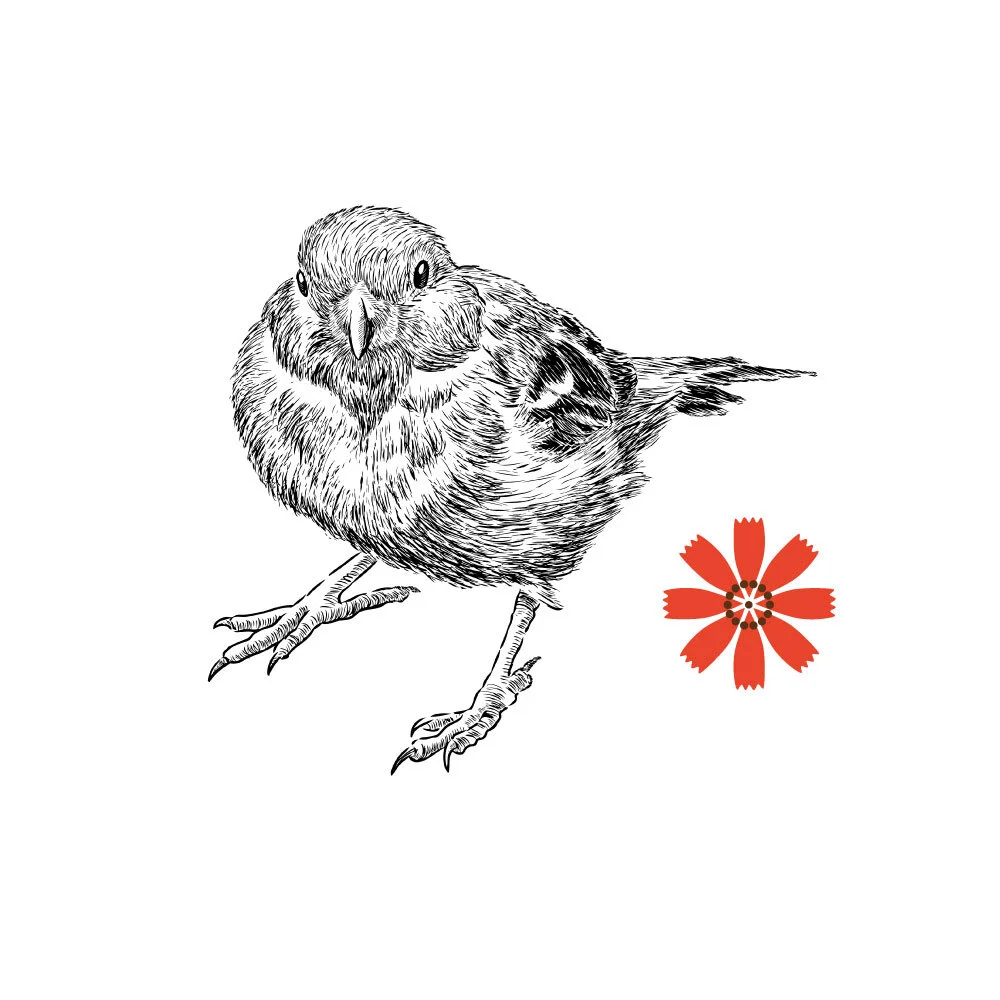Vogerl_small_1000x1000.jpg