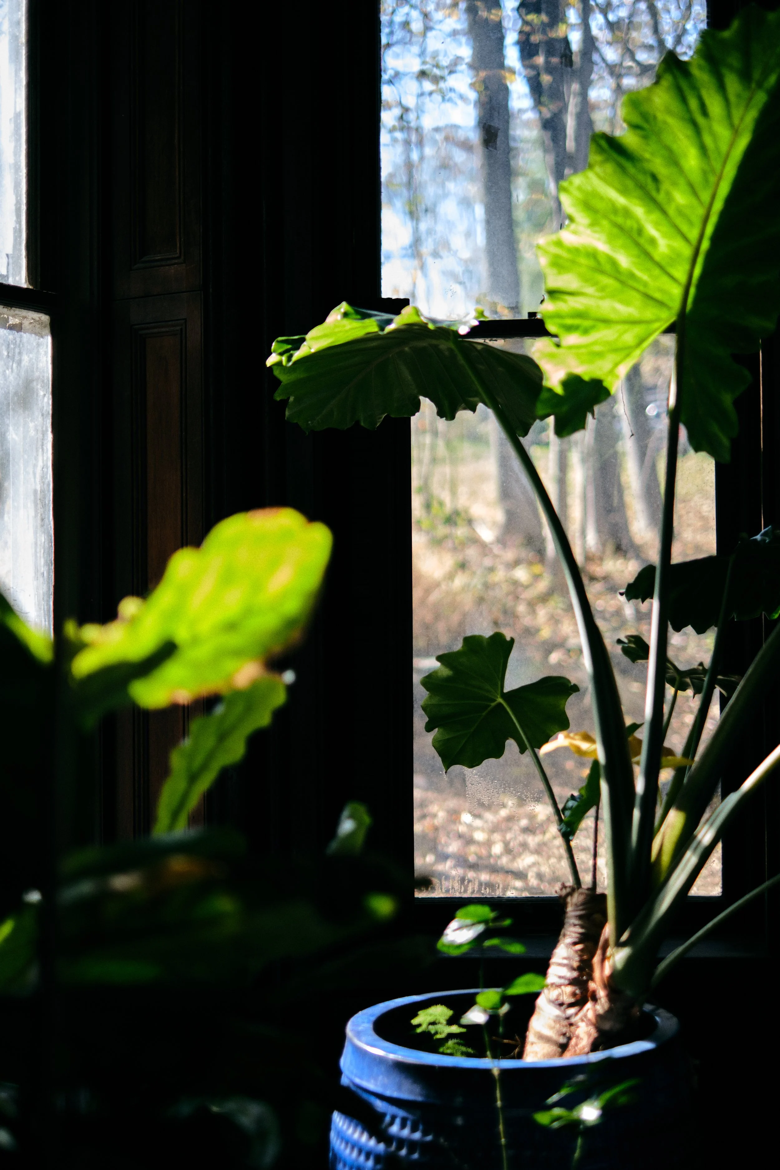 DSCF6267.jpg