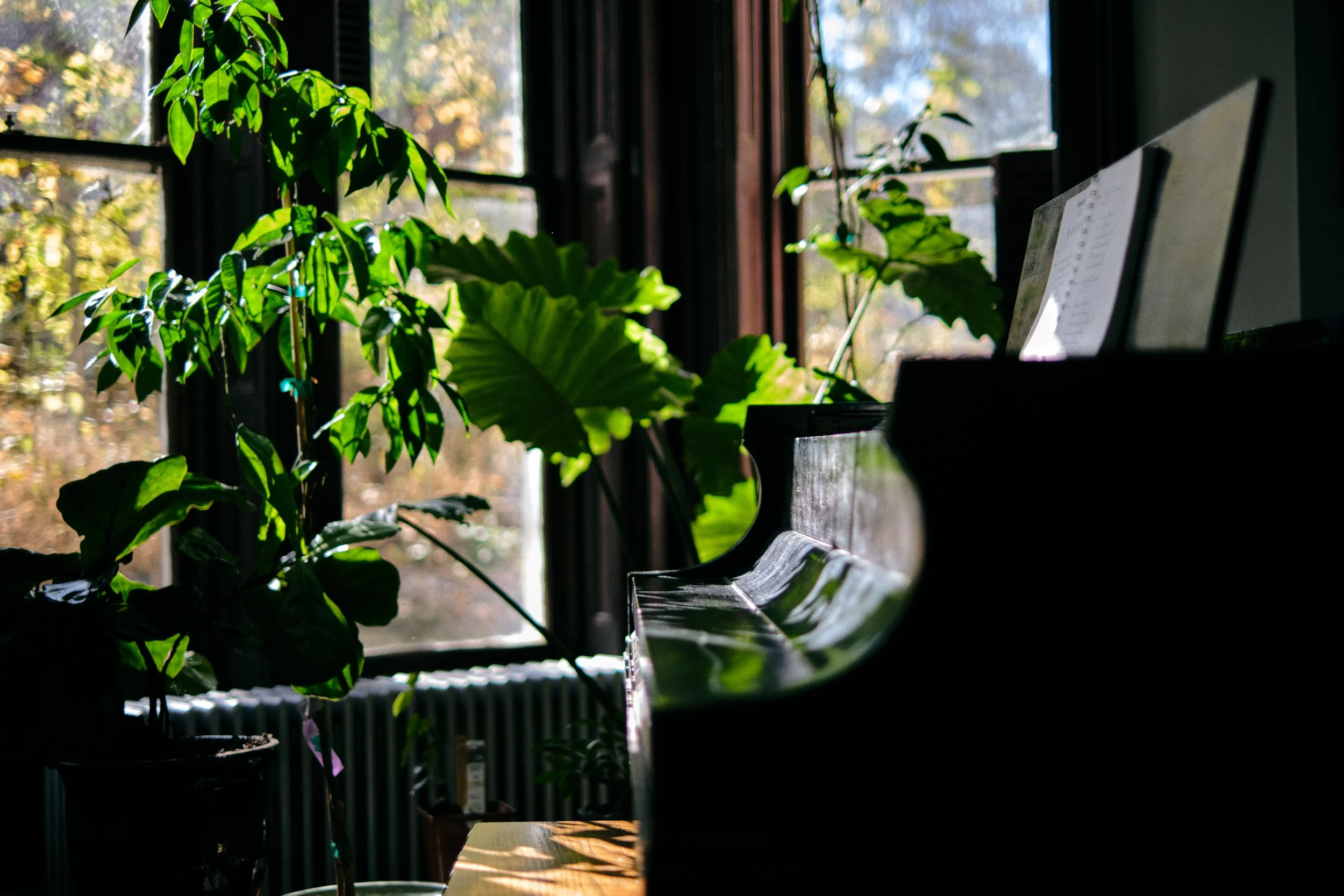 DSCF6193.jpg