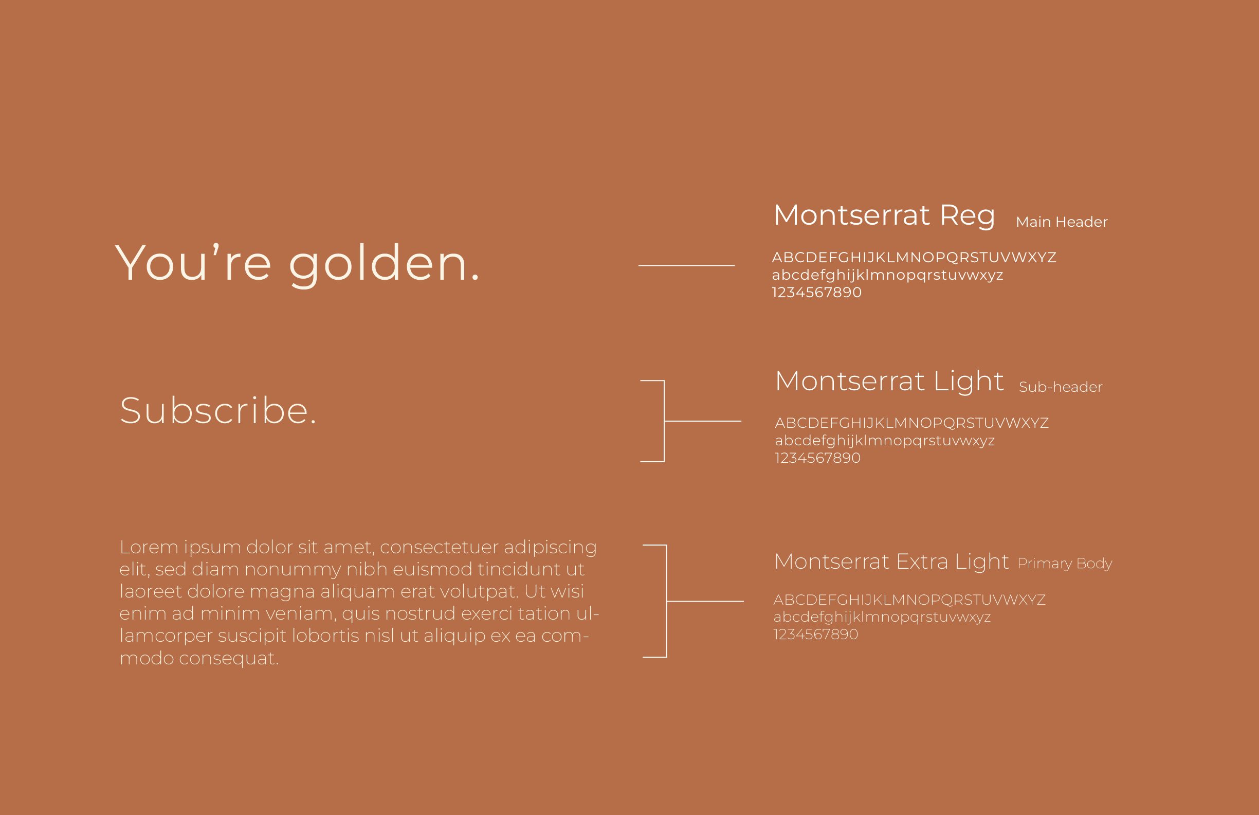 Moreyna Brand Guide_Typography.jpg
