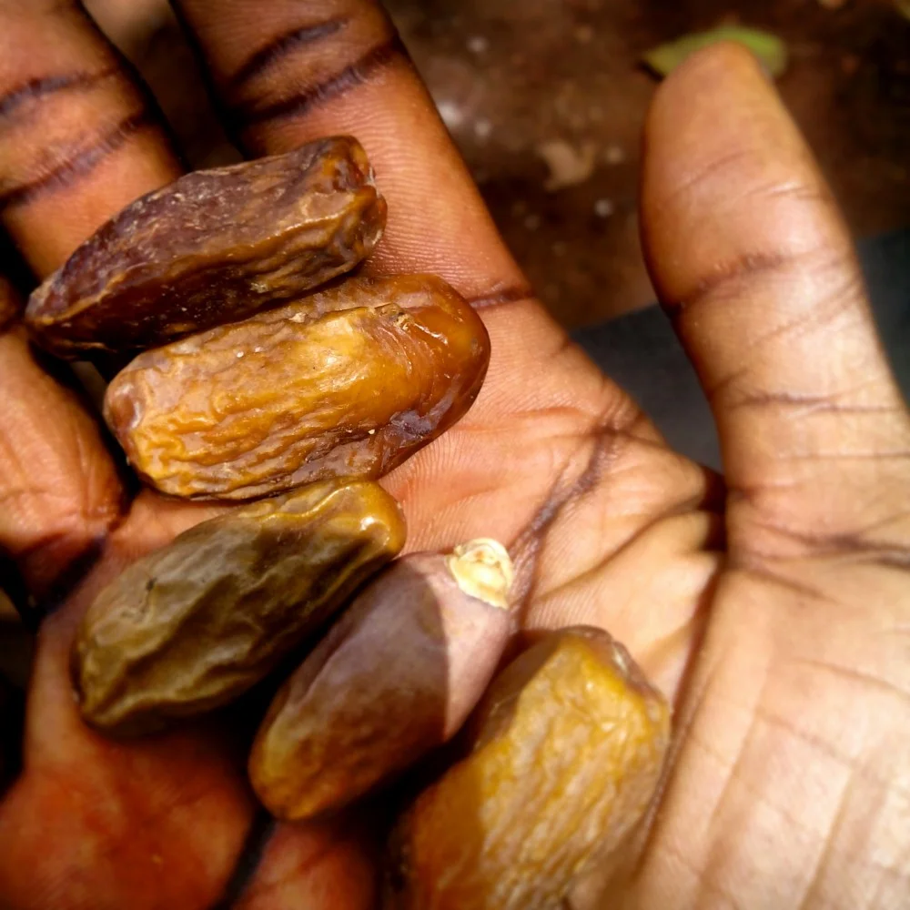 Street snack: Dry dates