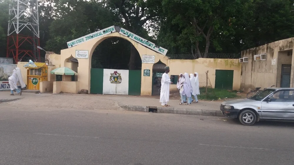 School girls chatting at the entrance gate of the Kano Zoo