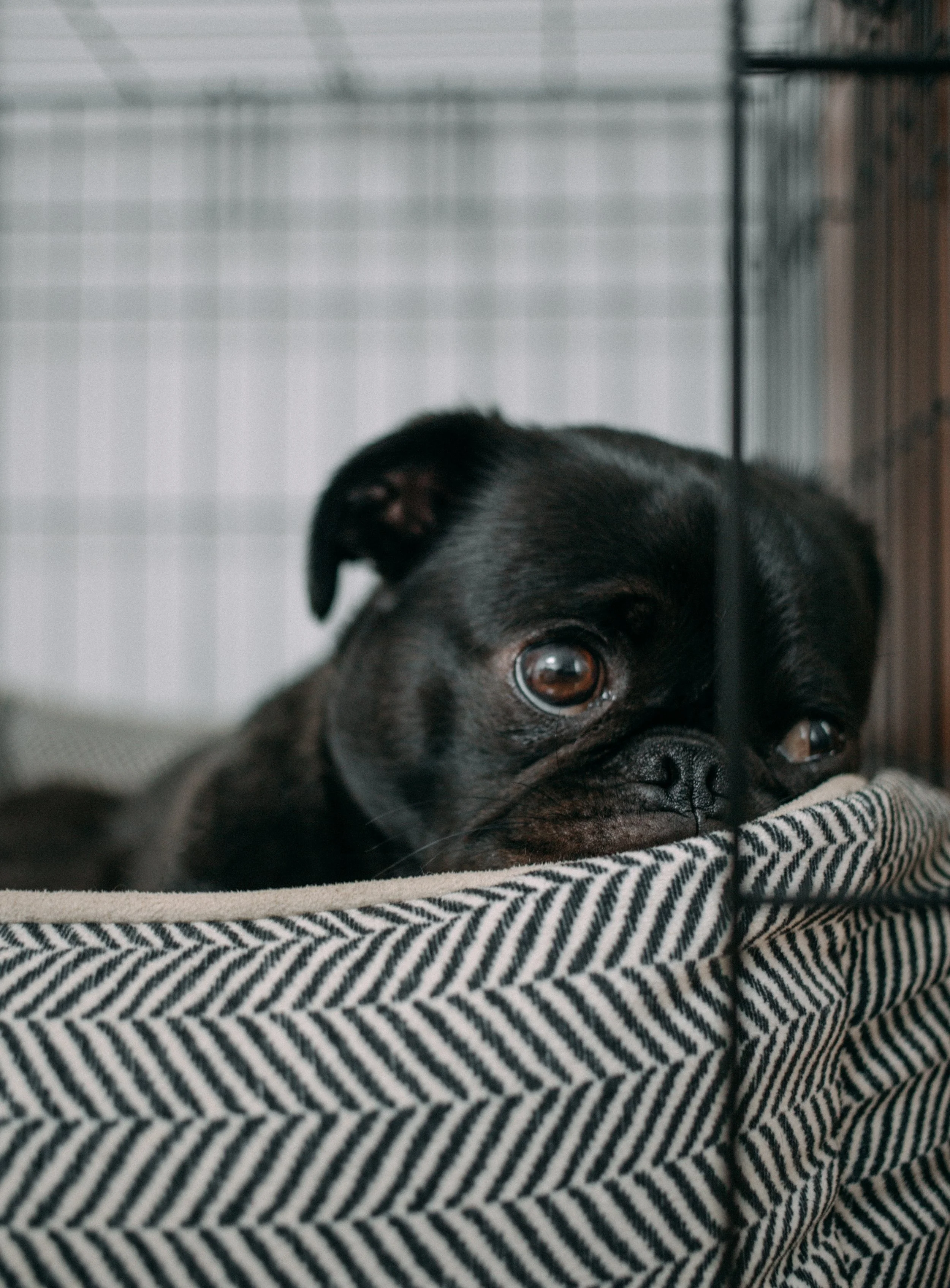 Source: Unsplash