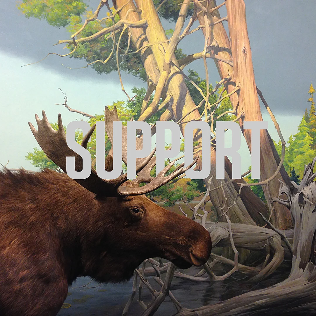 Support.Type.jpg