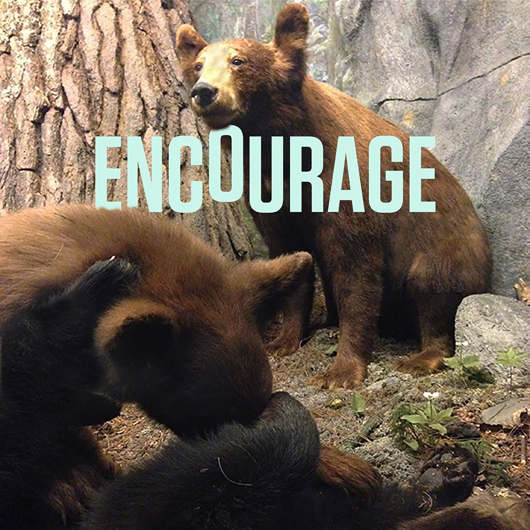 Encourage.Type.png