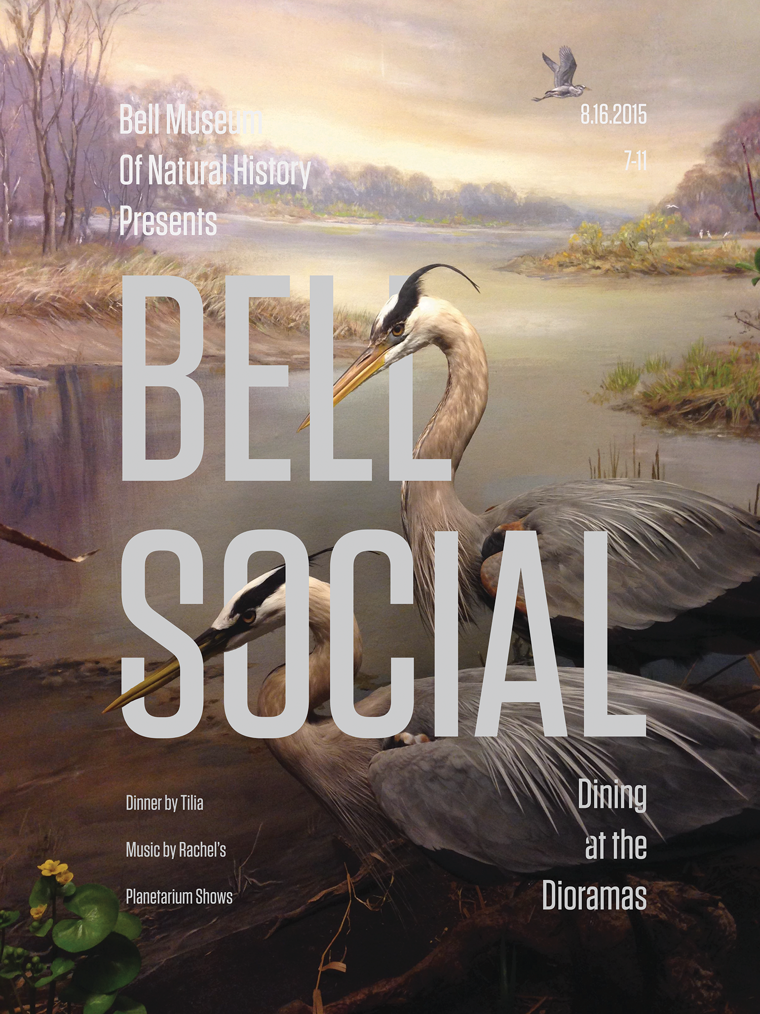 Bell.web..png