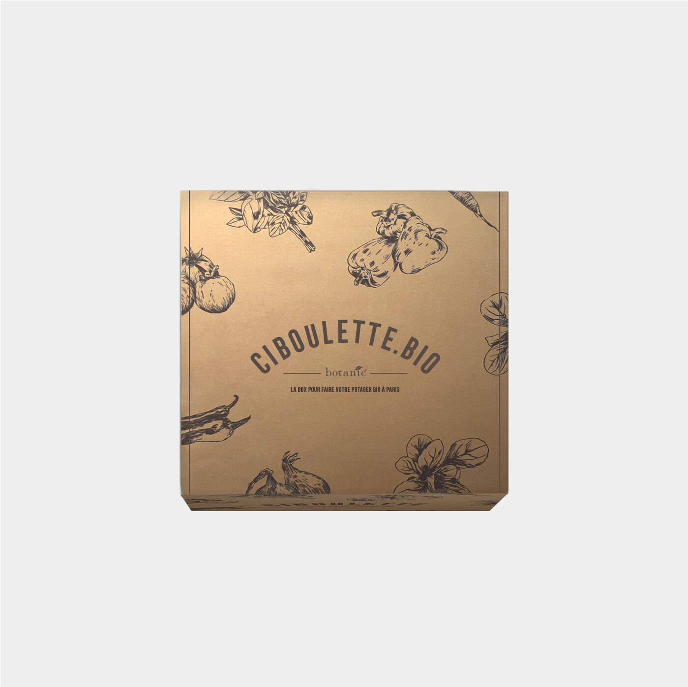 ciboulette.jpg