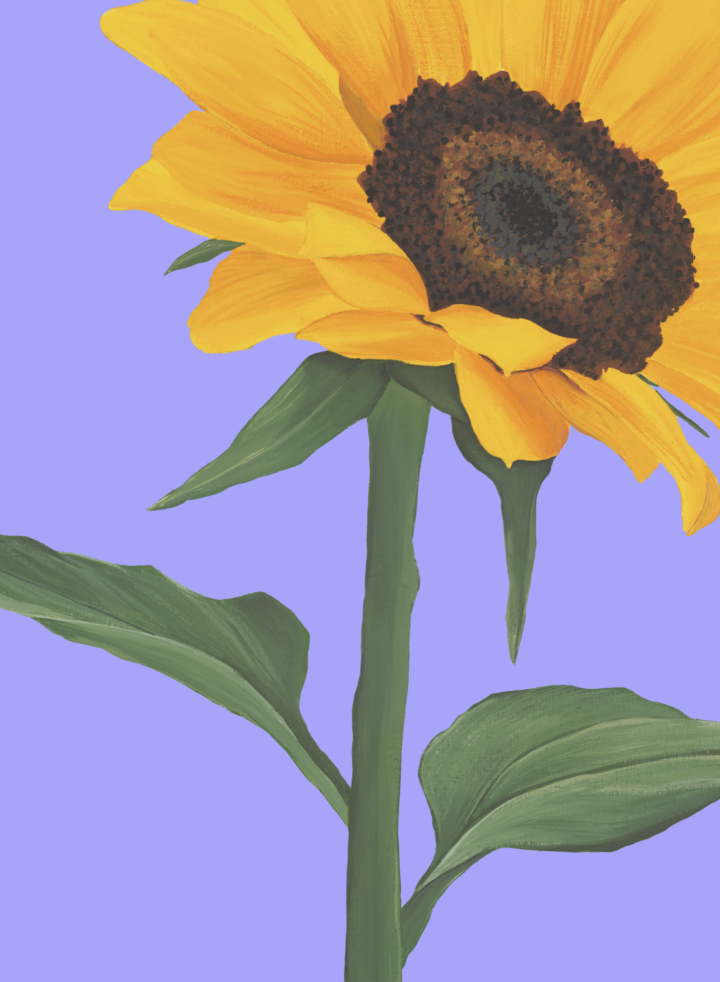 Capture d’écran 2023-09-22 à 11.35.06.png