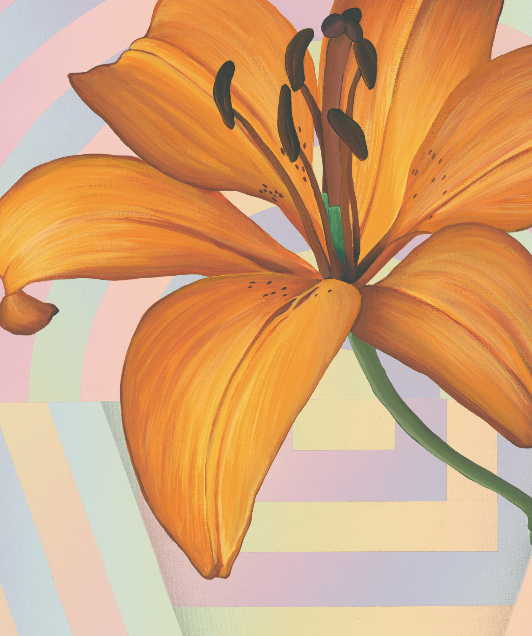 Capture d’écran 2023-09-22 à 11.36.11.png