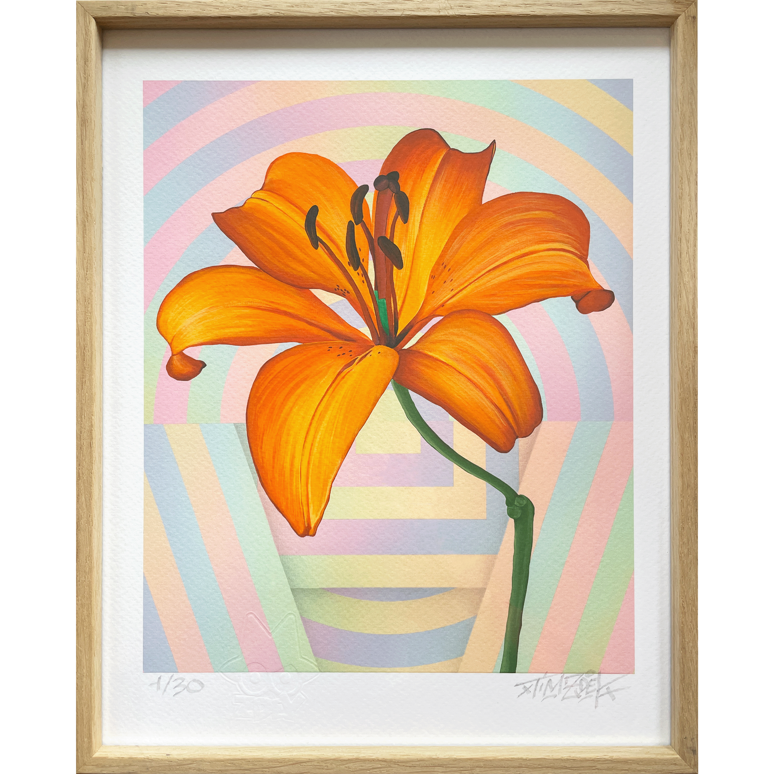 Lys - Shop Site Web - small.png