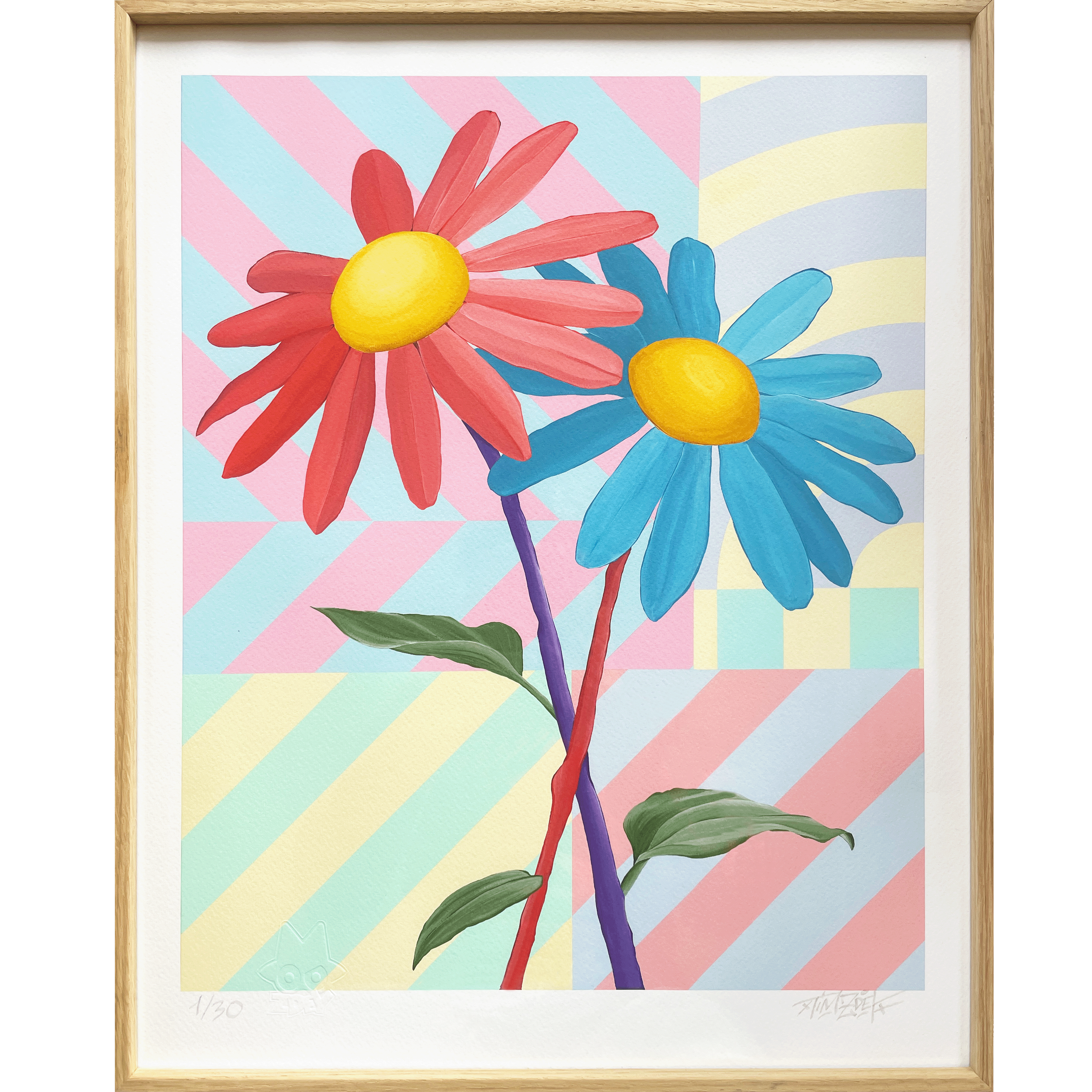 Camomilles Visuels - Shop Site Web - small.png