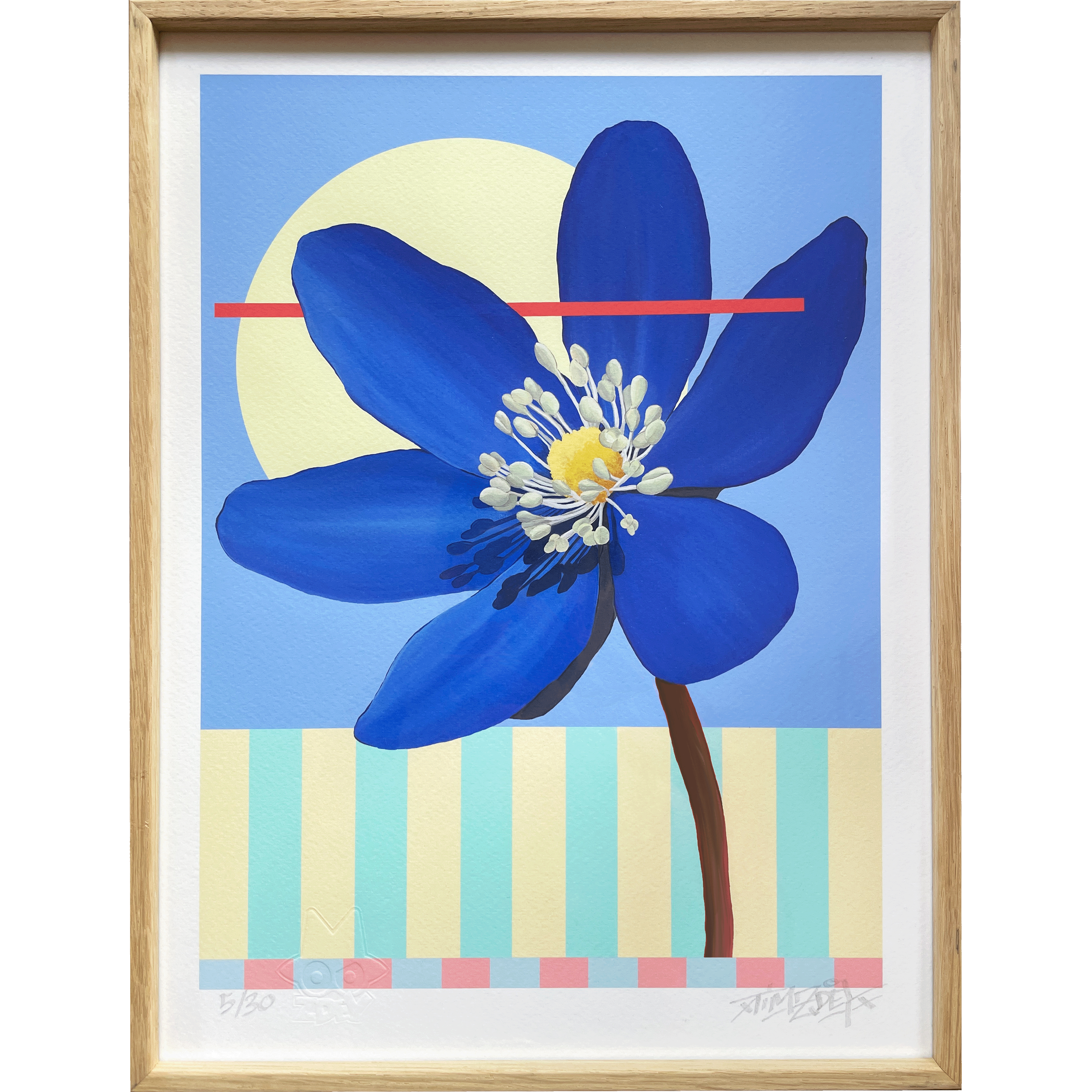 Anémone Visuels - Shop Site Web - small.png