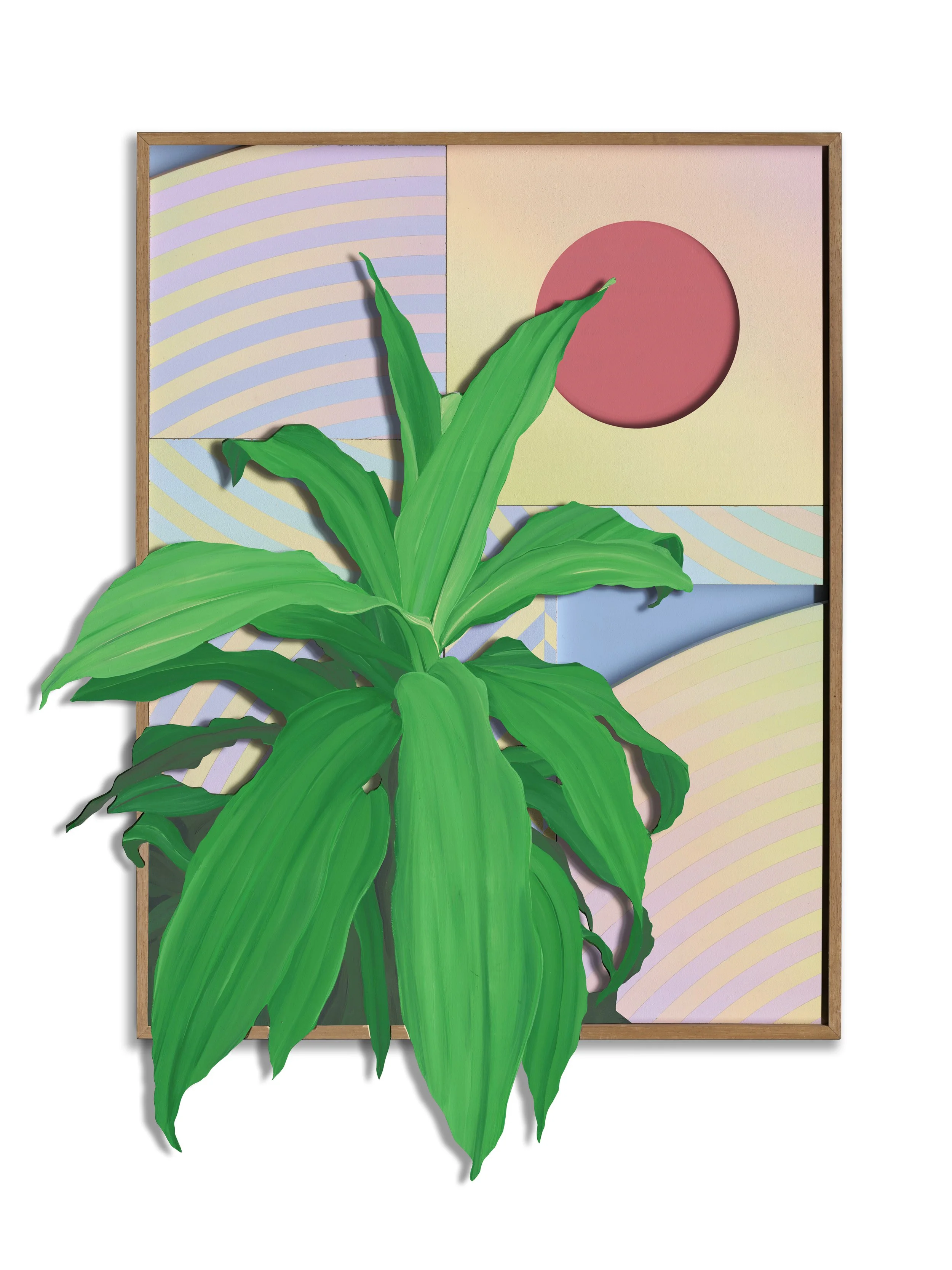 Dracaena Full - 2.jpg
