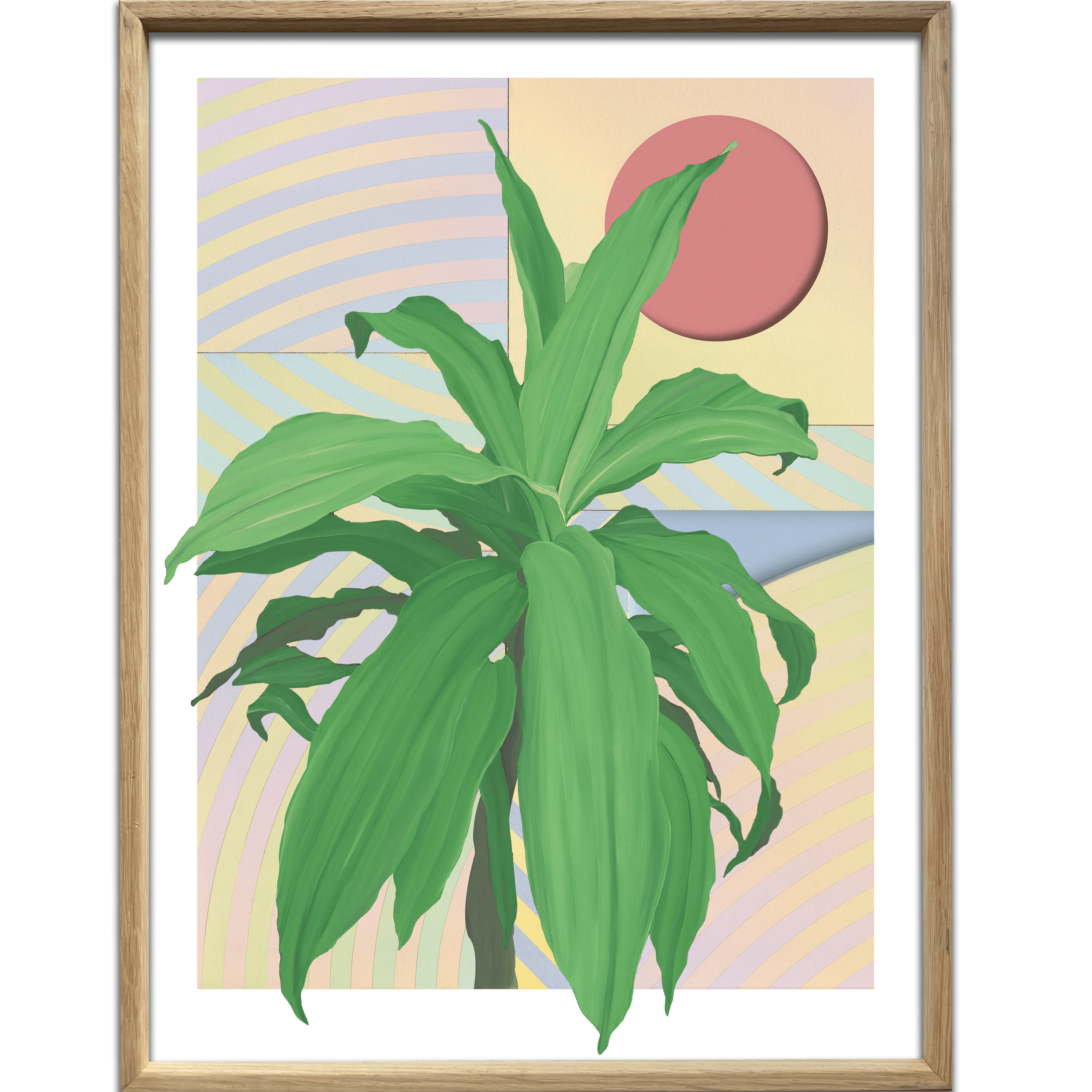Print - Dracaena - 10 + 5EA - 30x40cm-min.png