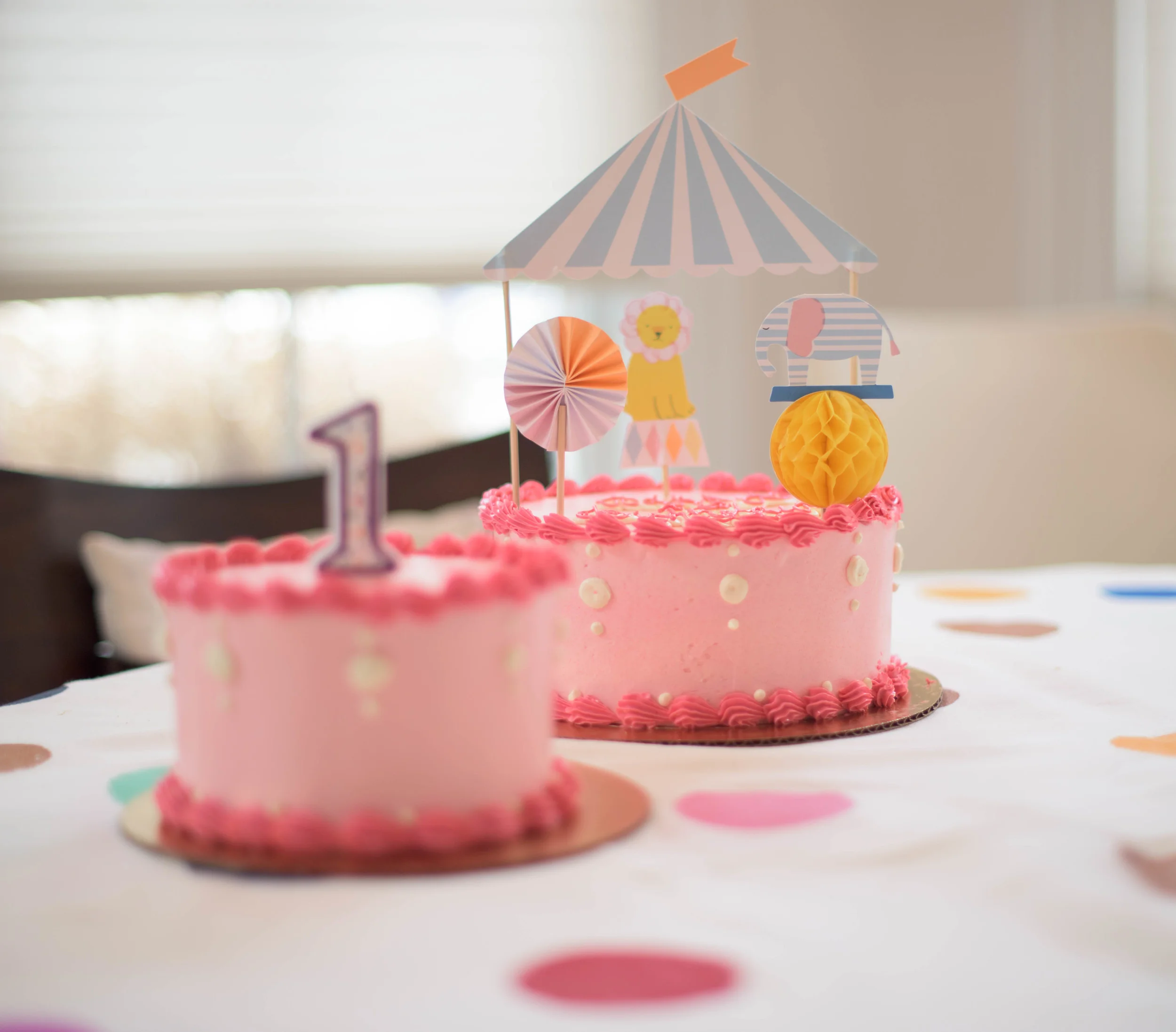 Mila Birthday-5726.jpg