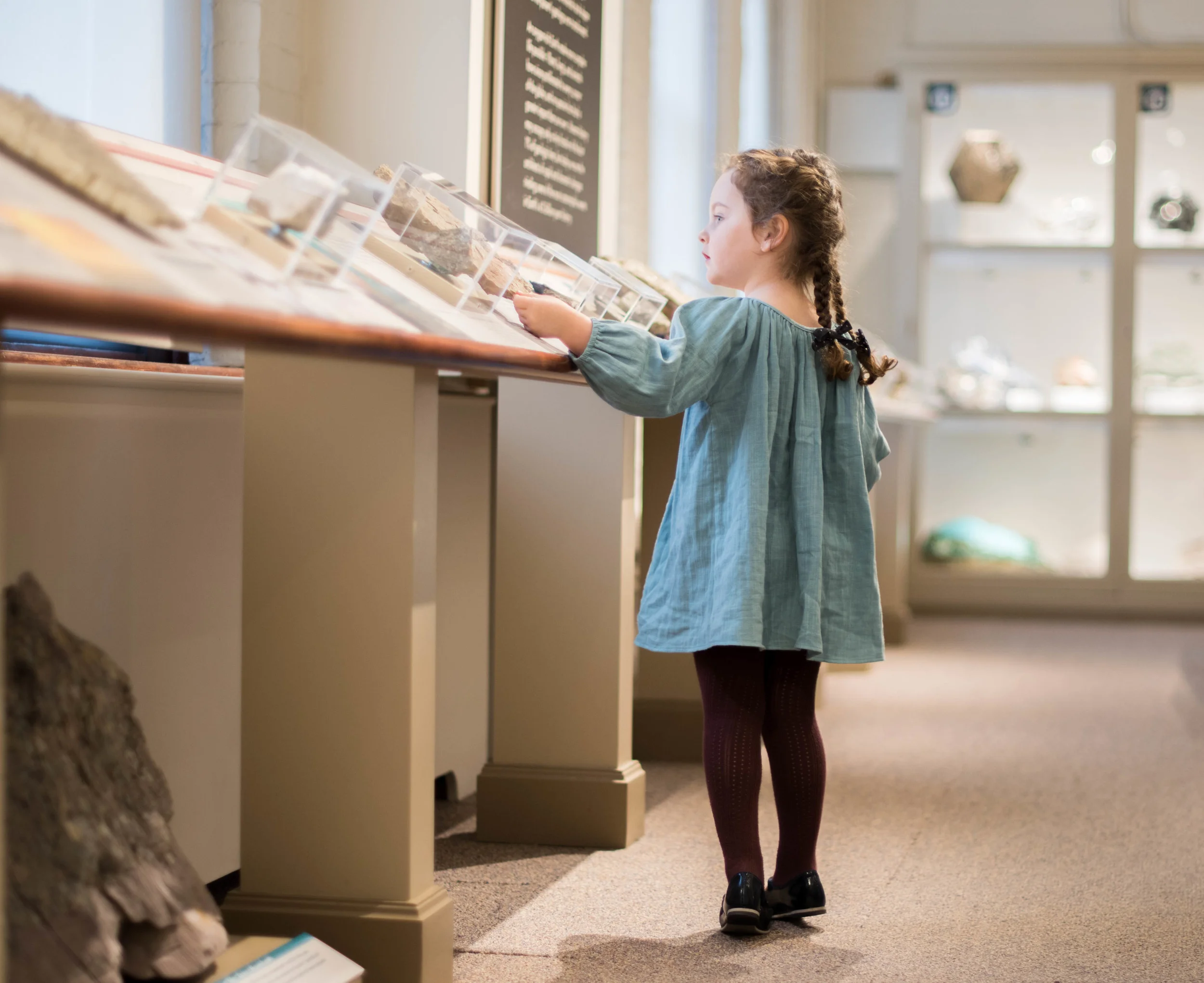 Soor Ploom Museum Natural History-0802.jpg