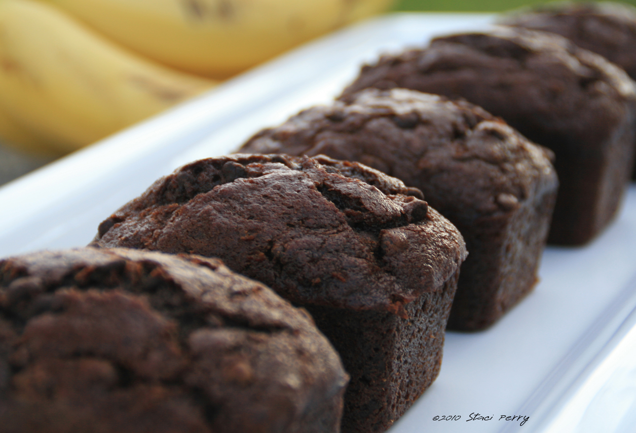 Chocolate Muffin
