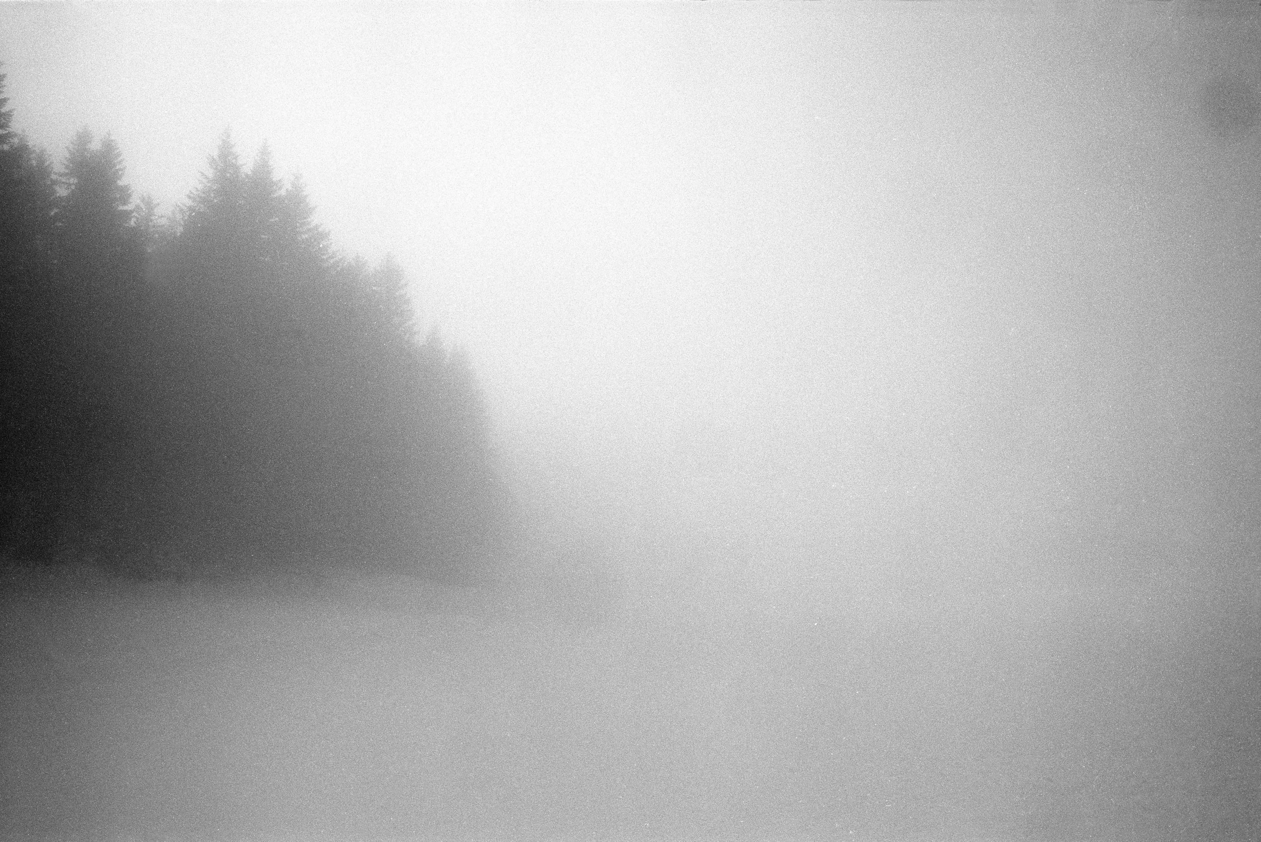B- Nebel.jpg