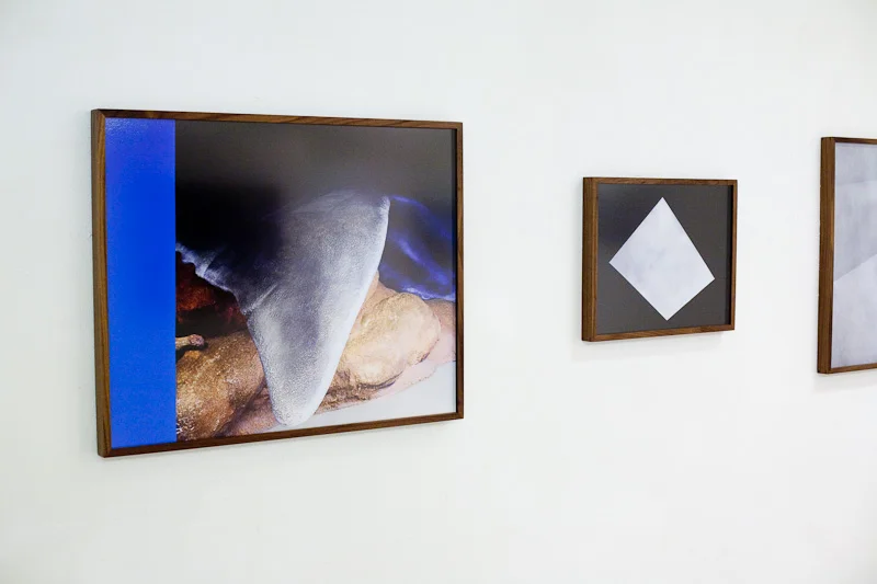 Installation View: Panta Rei