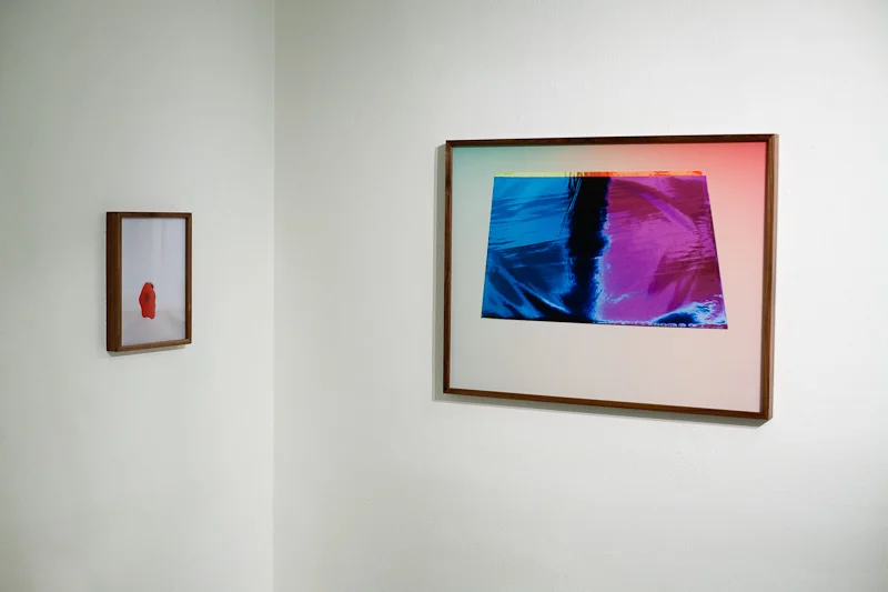 Installation view: Panta Rei
