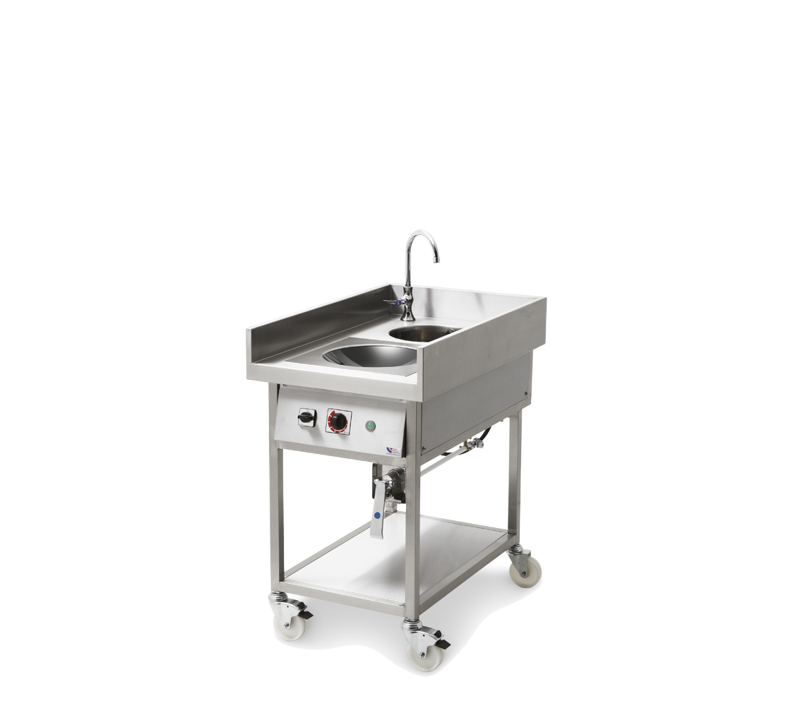 wok induction range