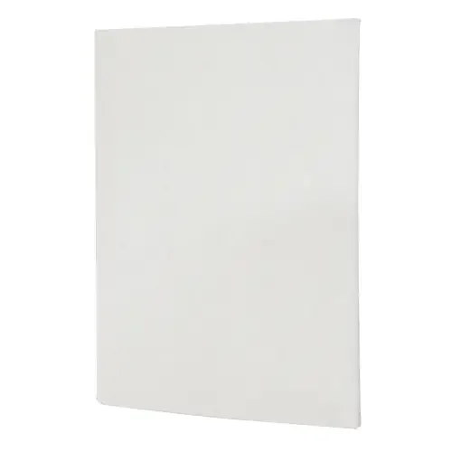 Particulate Filter