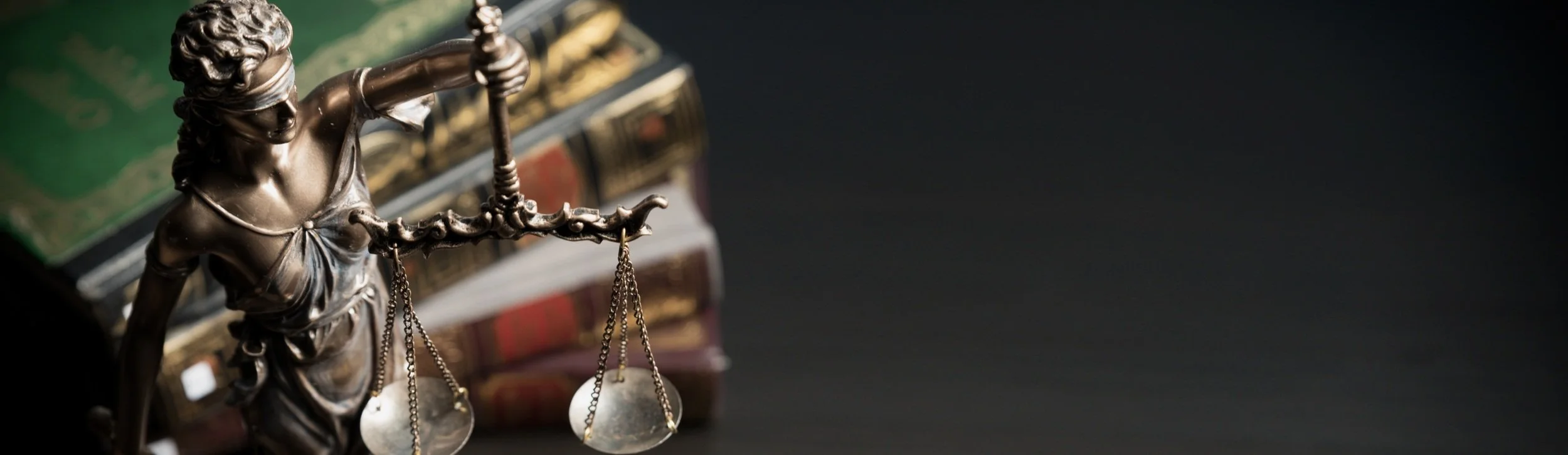 Volunteer Lawyers for Justice's Alexandra Bravo and Allison Nolan Promoted