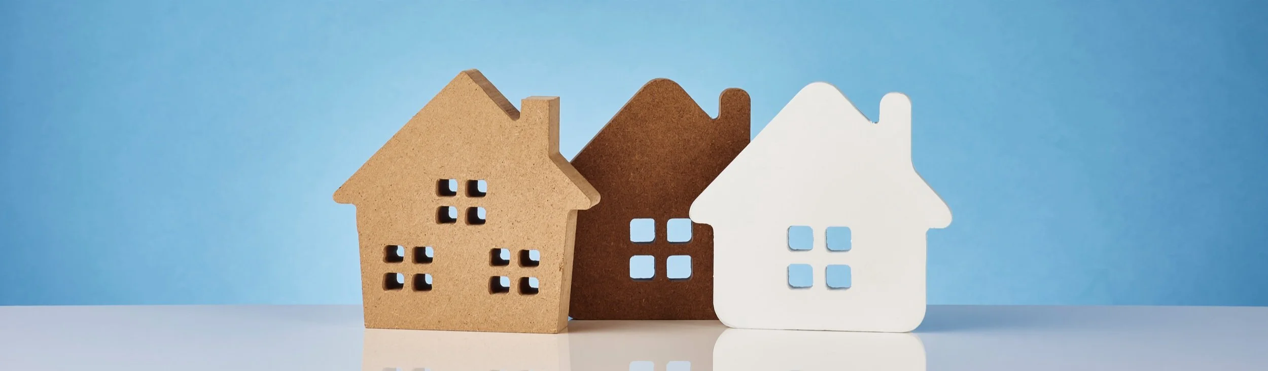 Banner+for+VLJ+Eviction+Webpage.jpg