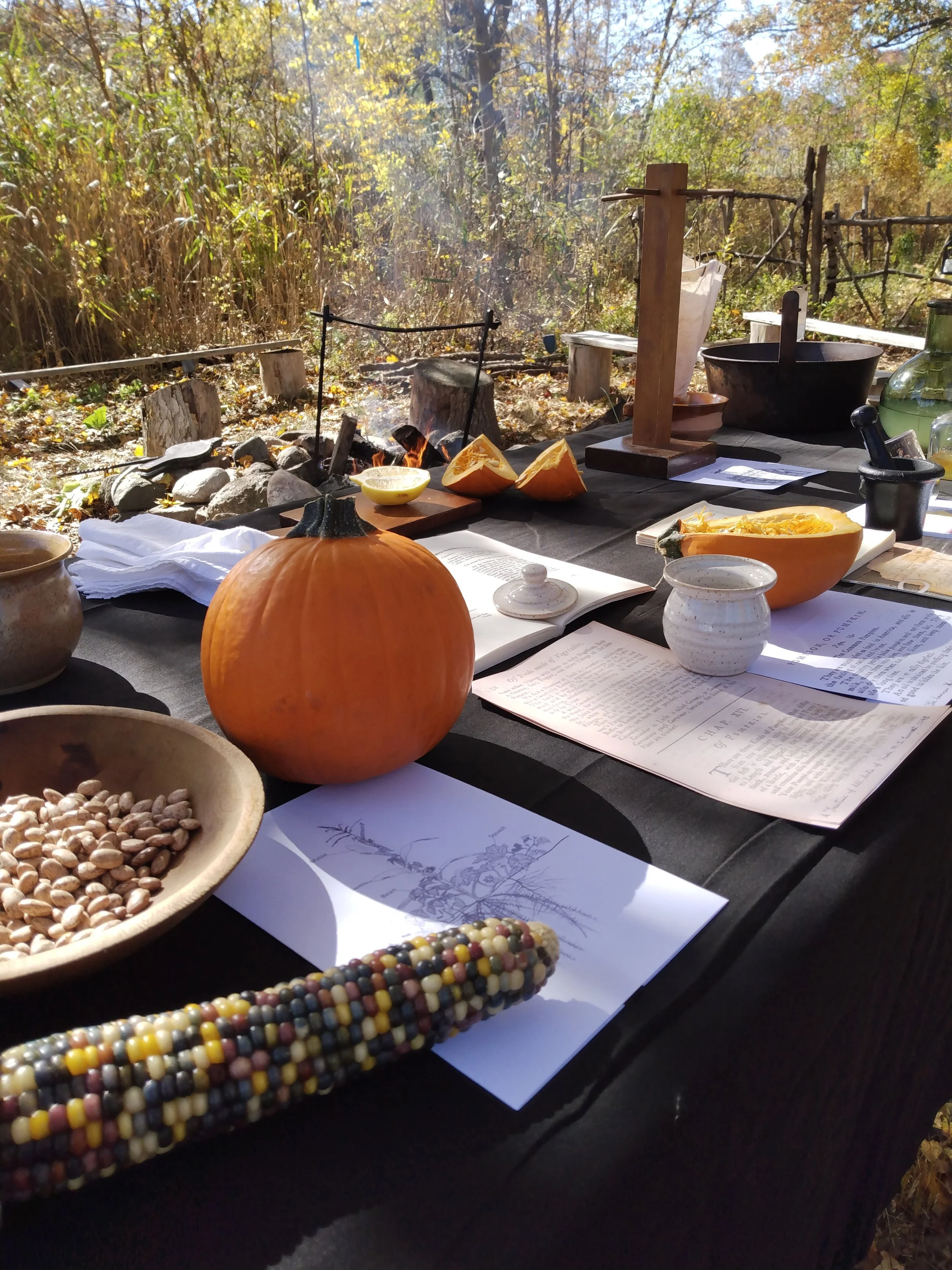Fall Harvest Medicine at Pioneer Village