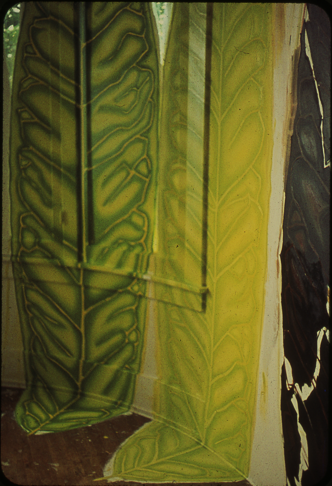 Leaf Room