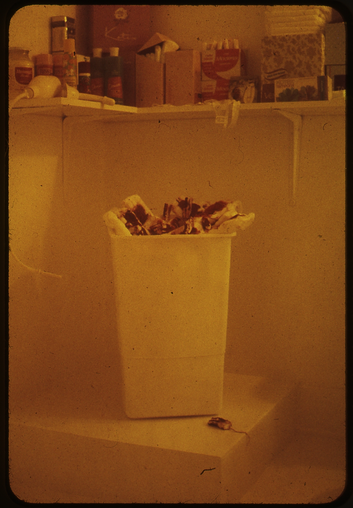 Menstruation Bathroom