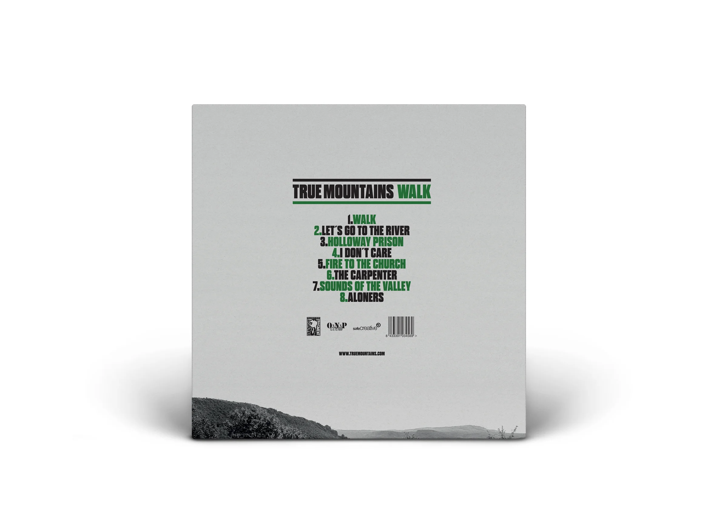 TM_BACK_Vinyl Record PSD MockUp.jpg