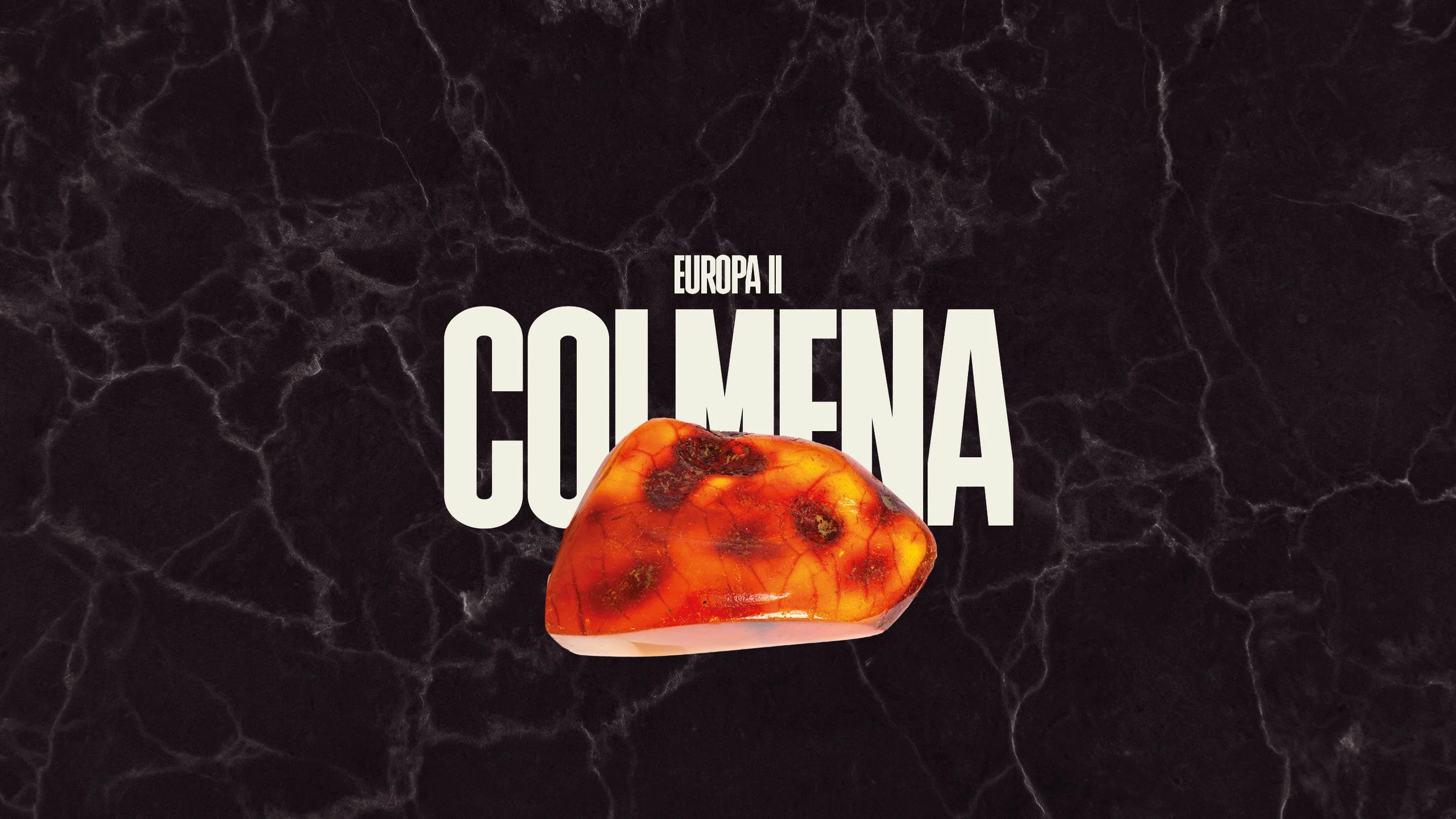 alcine_Europa_2.jpg