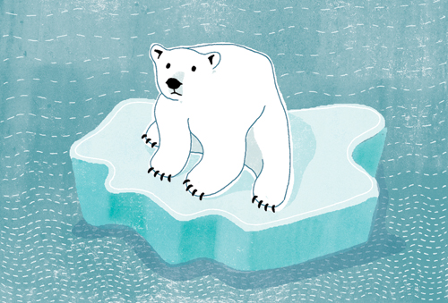 polar bear.jpg
