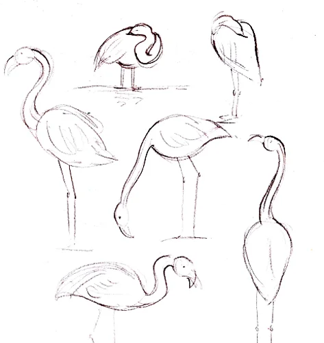 flamingos.jpg