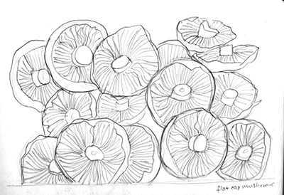 mushrooms.jpg