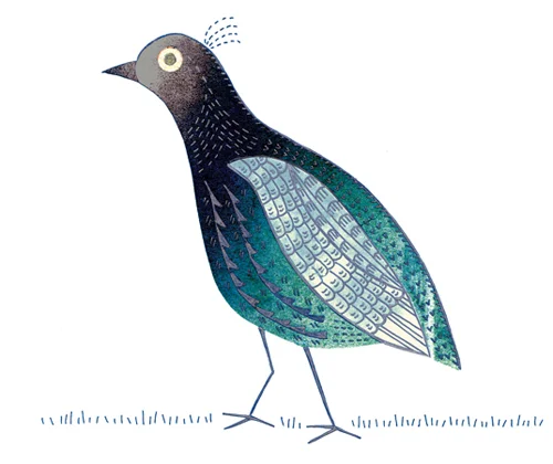 quail.jpg
