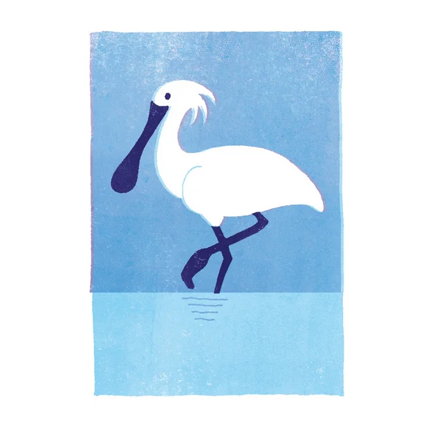 bird-2.jpg