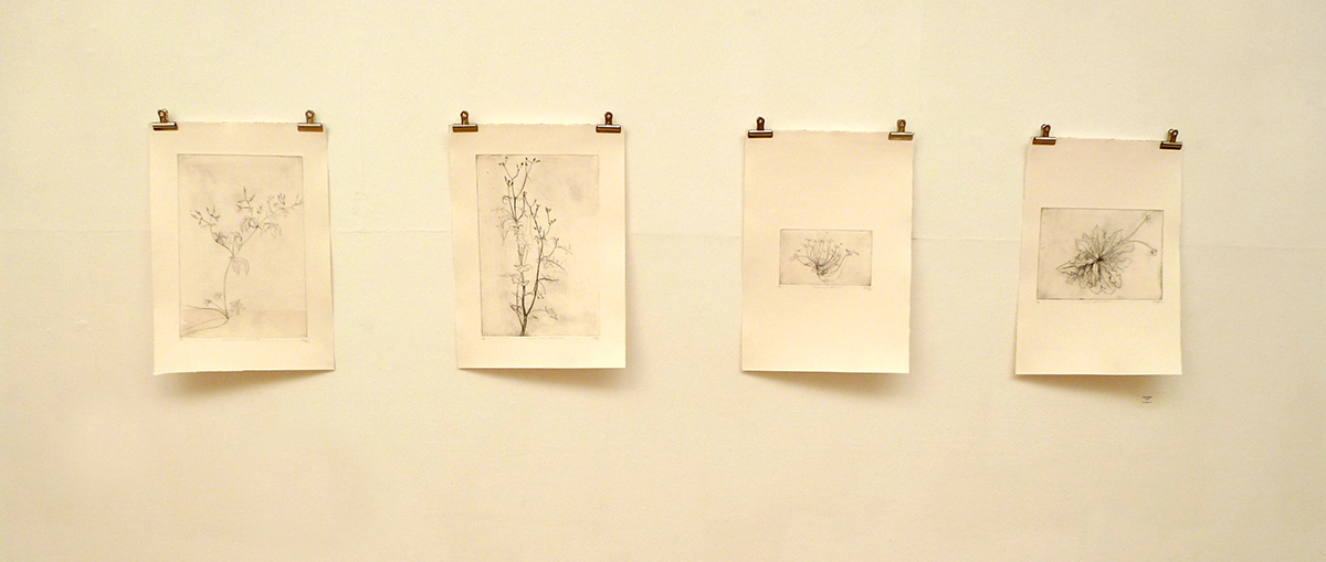 drypoints by Alison Sloggett