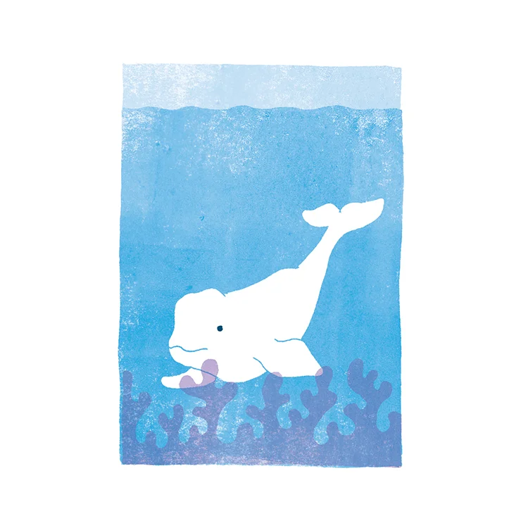 ten-white-beasts-beluga.jpg