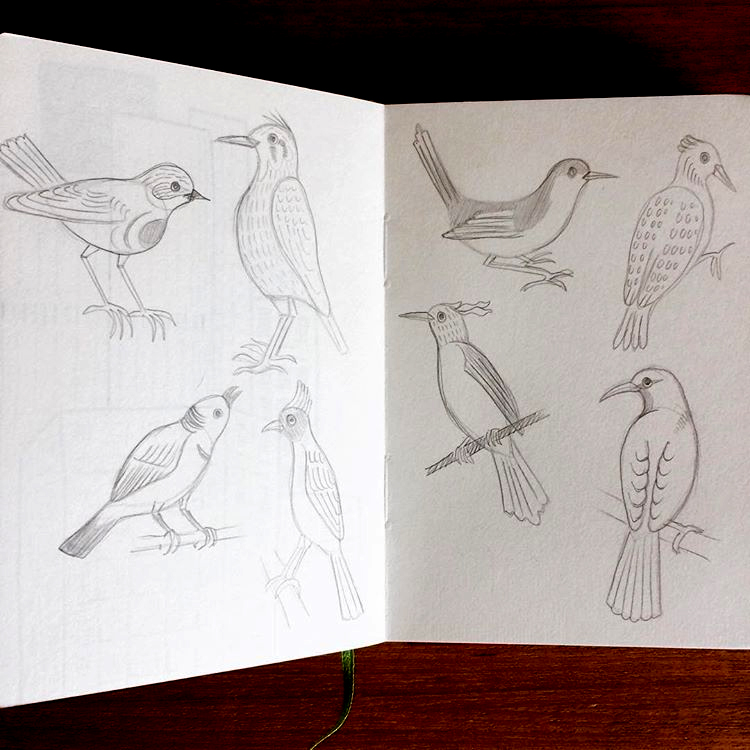 Sketching from a book called 'Indian Birds'