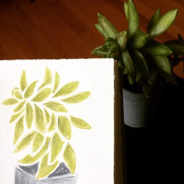 succulent.jpg