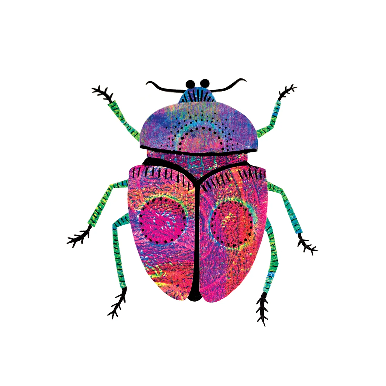 beetle-3.jpg
