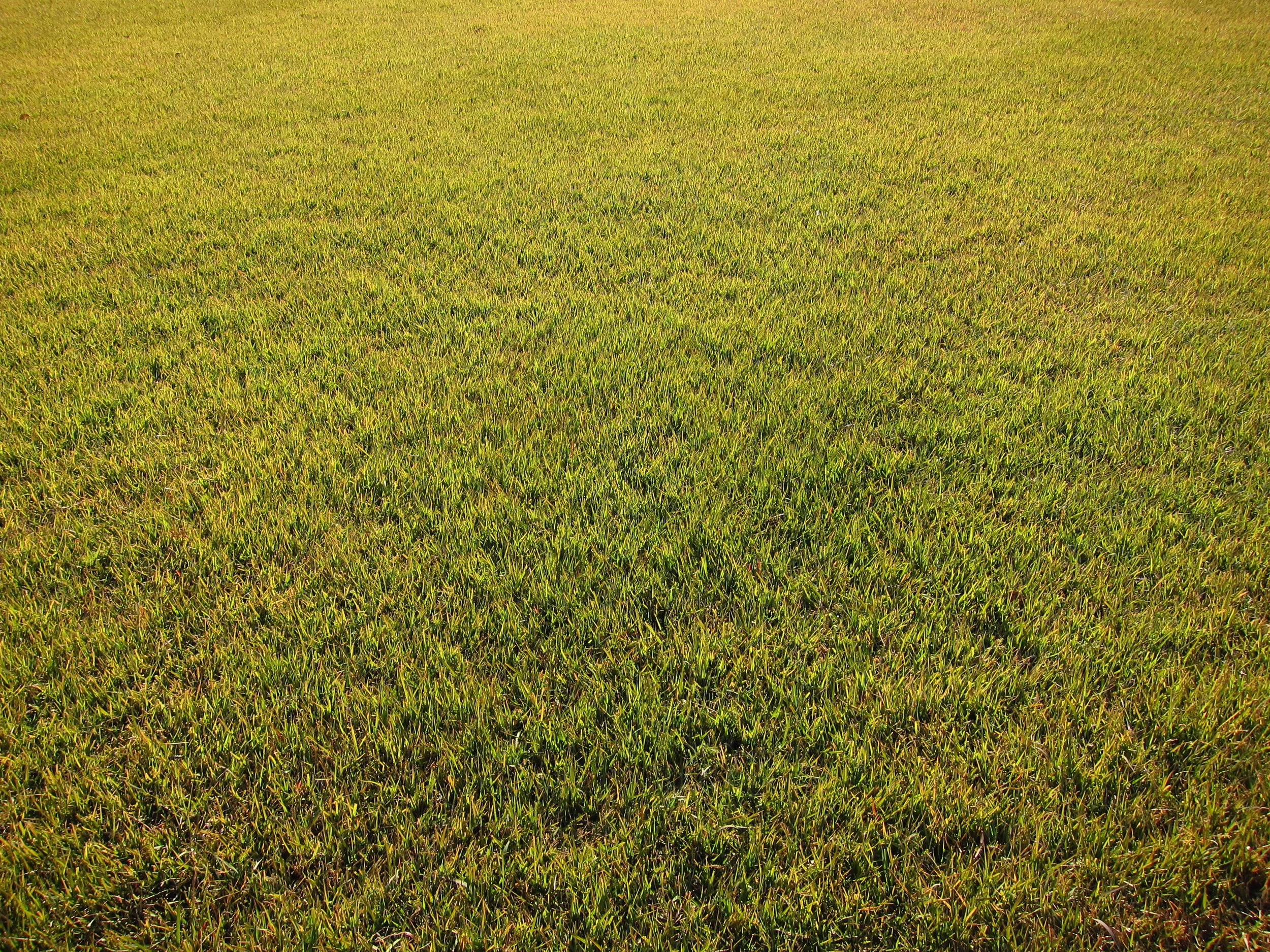 Korakuen Garden, Okayama, Japan