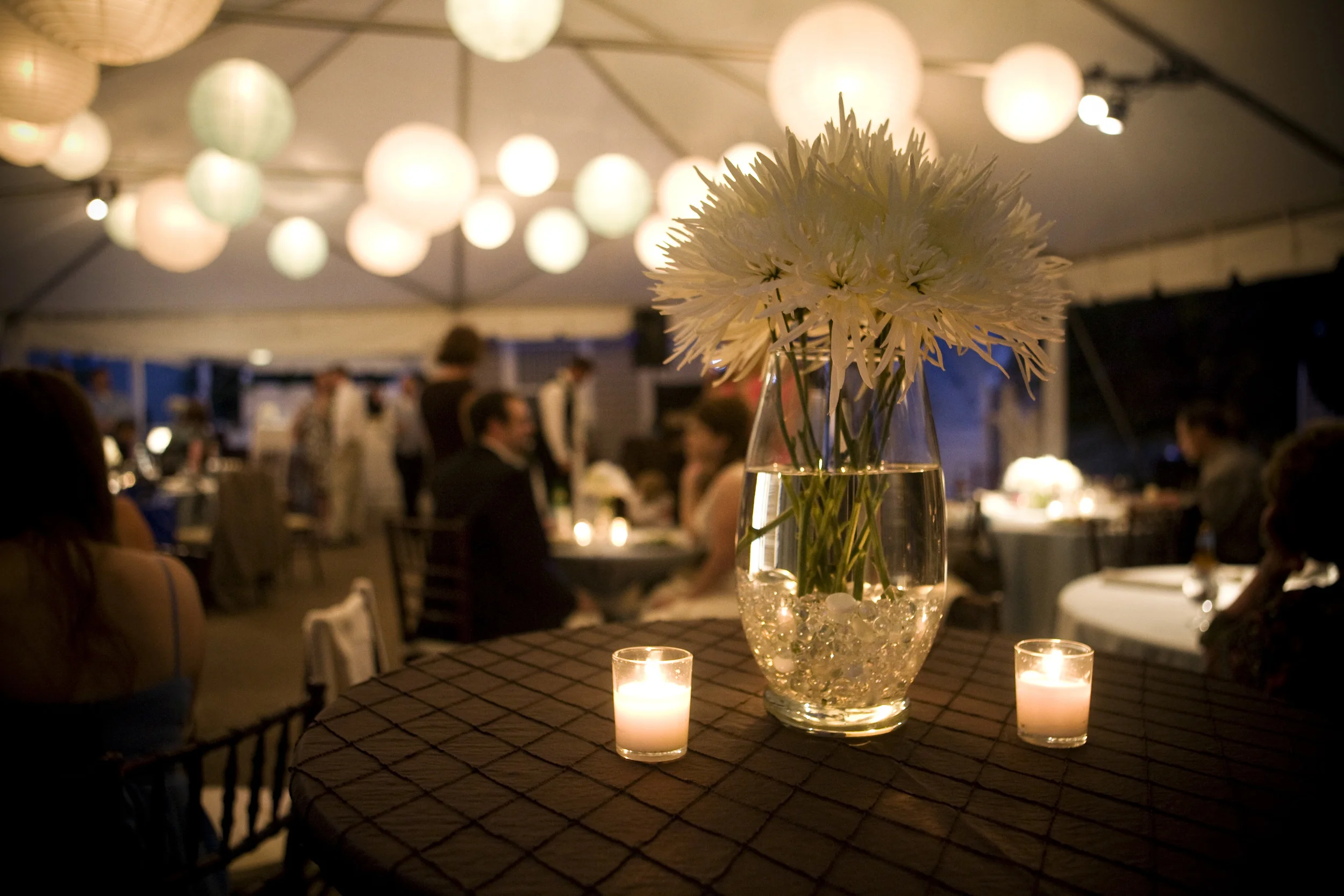 IMAGE CREDIT: Inara Studios